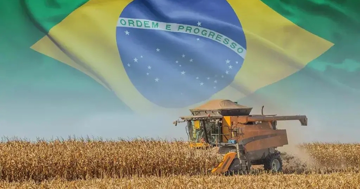 exportações do agronegócio