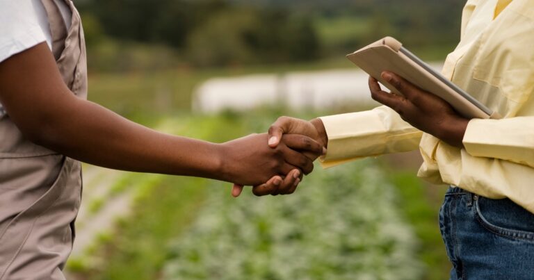 Agronegócio registra recorde de empregos e amplia participação na economia brasileira