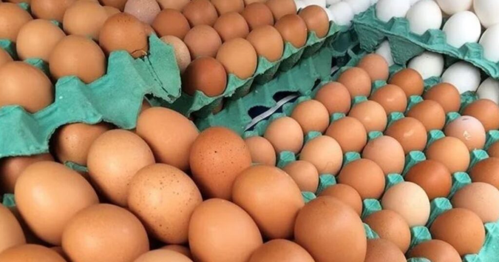 preços dos ovos fevereiro Cepea