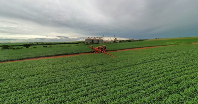 Biossoluções ganham espaço no agro ao reduzir perdas e aumentar produtividade
