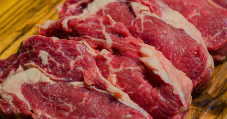 Carne do Pampa Gaúcho reforça debate sobre rastreabilidade e acesso a mercados premium