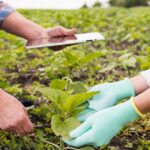 Consistência é o que sustenta a estratégia