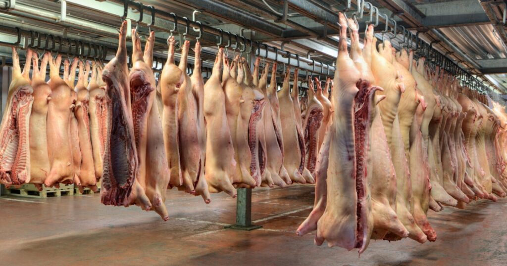 consumo carne suína Brasil