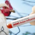 Crédito emergencial reforça sanidade agropecuária e destaca planejamento financeiro no campo