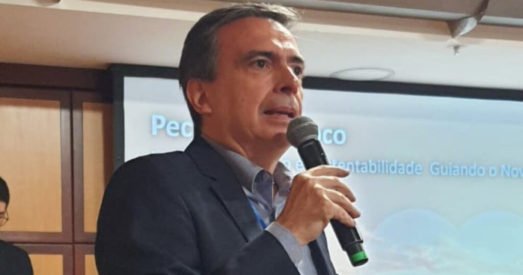 confinamento bovino