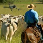 Drones ampliam eficiência e gestão na pecuária brasileira em cenário de alta produção de carne