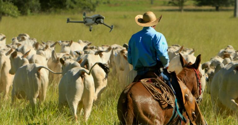 Drones ampliam eficiência e gestão na pecuária brasileira em cenário de alta produção de carne