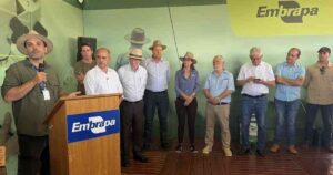 Embrapa apresenta cultivares de feijão e tecnologia no Show Rural