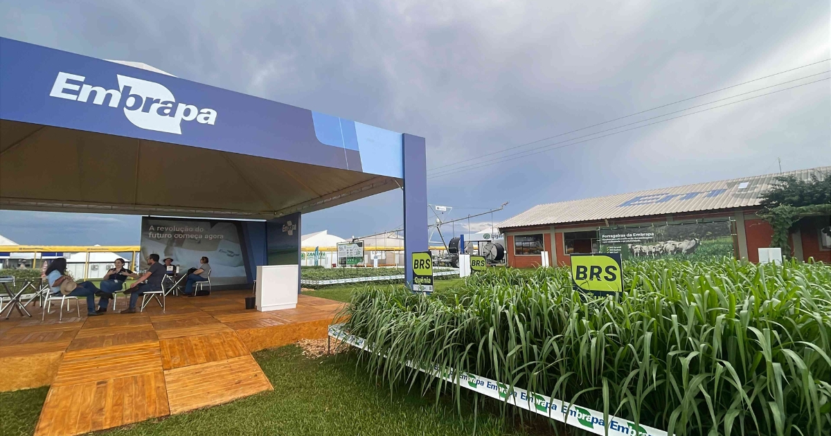 Embrapa Show Rural