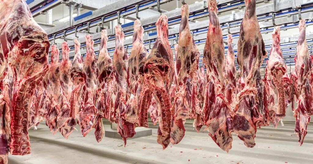exportações de carne bovina