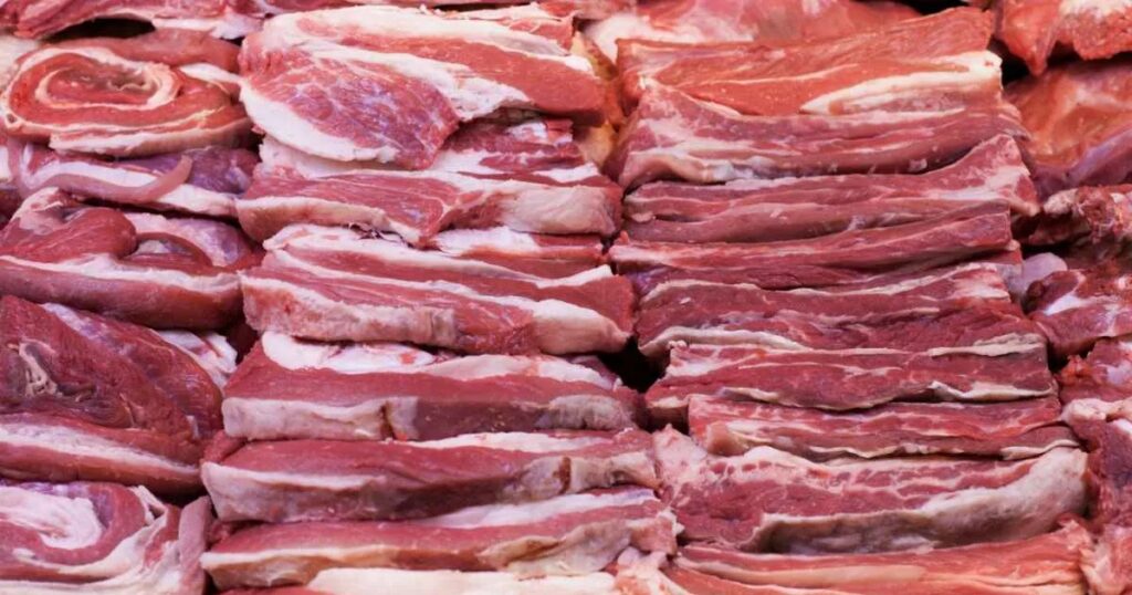 exportação carne bovina
