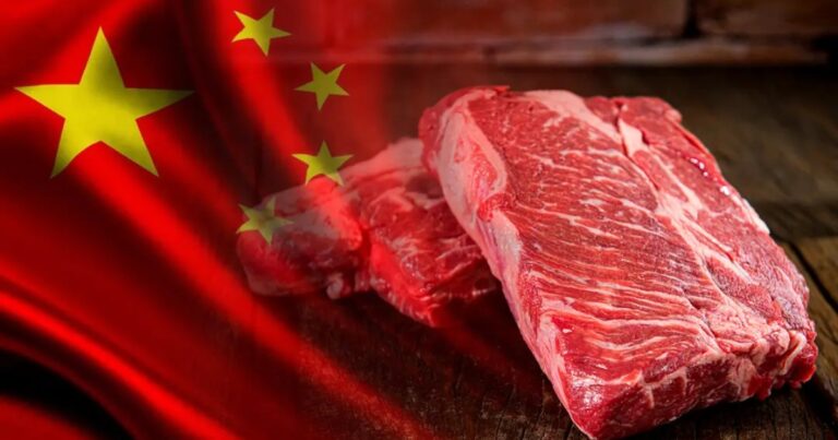 Exportações de carne bovina batem recorde em janeiro e cota chinesa acende alerta no setor