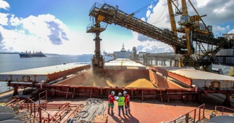 Exportações de grãos ganham força em fevereiro com avanço de soja e milho