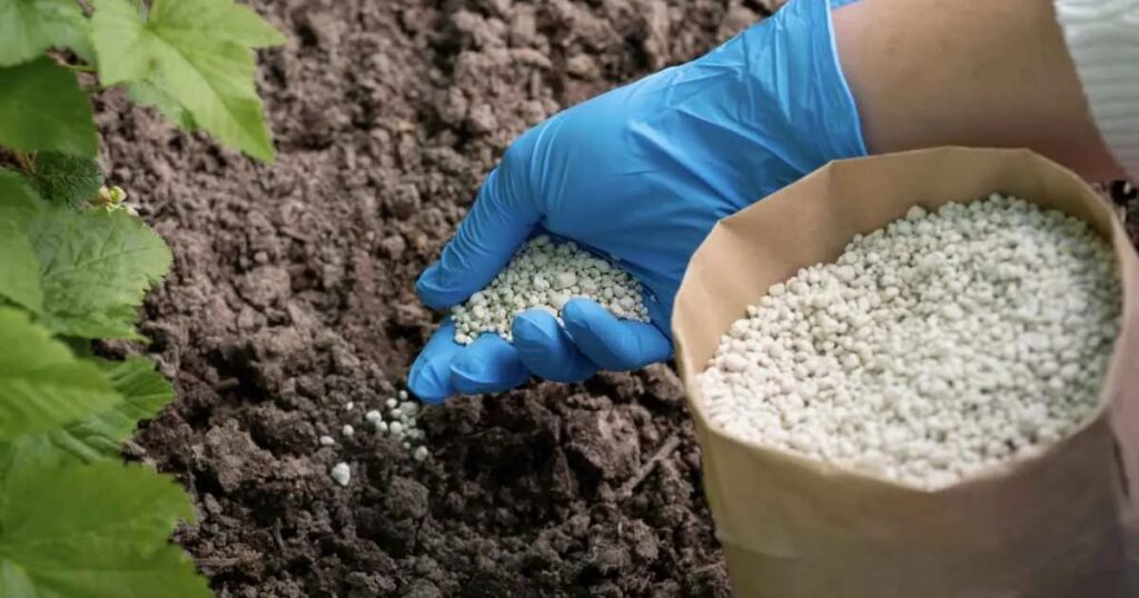 fertilizantes