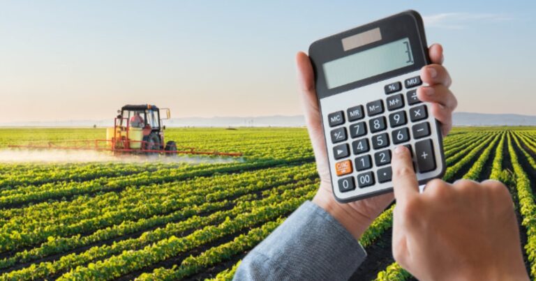 Financiamento privado do agro alcança R$ 1,407 trilhão e cresce 13,5% em um ano