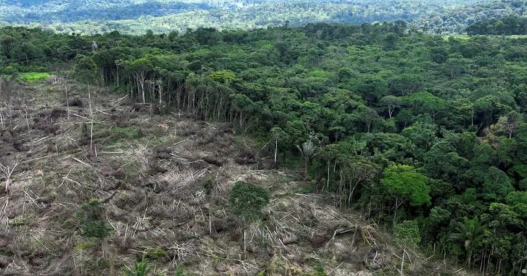 Lei antidesmatamento da UE pode atingir até US$ 17,5 bilhões do agro brasileiro