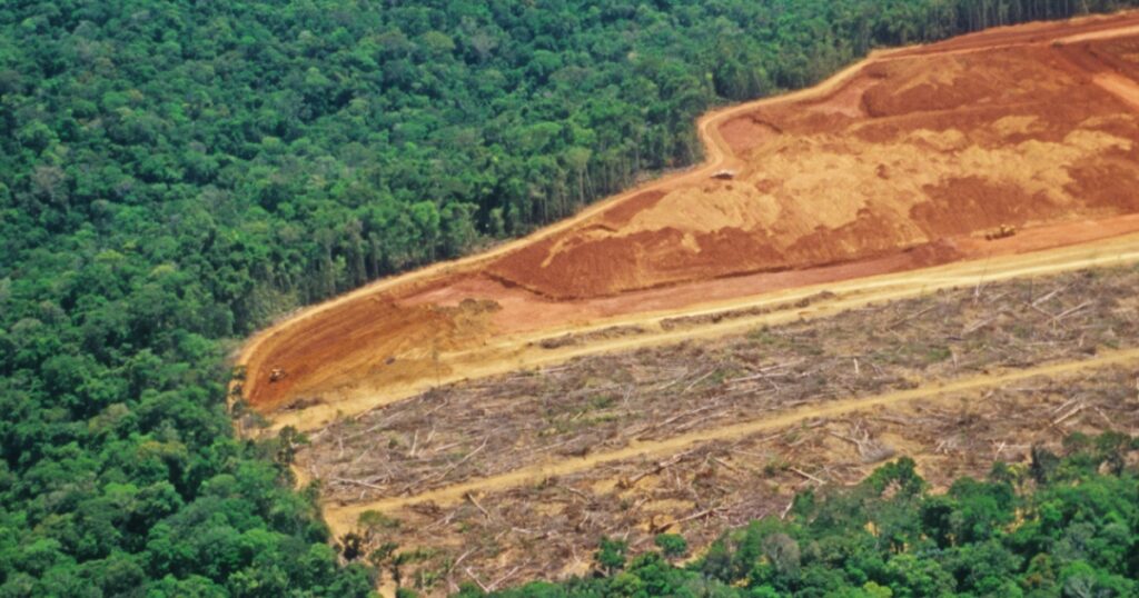lei antidesmatamento UE agro