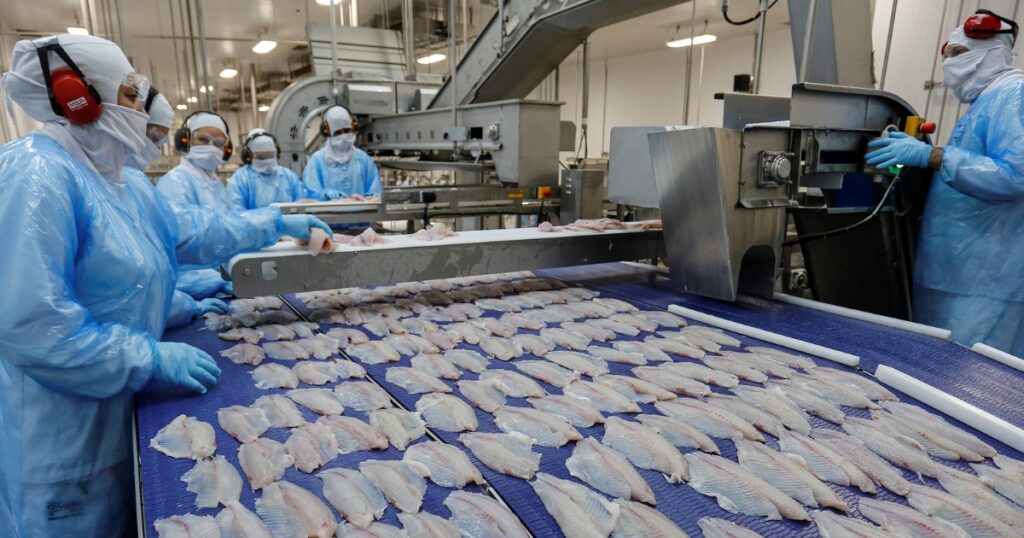 produção de peixes Brasil