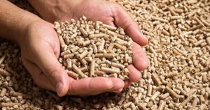 Produção de rações cresce 2% até setembro, e Sindirações projeta 90 milhões de toneladas em 2025