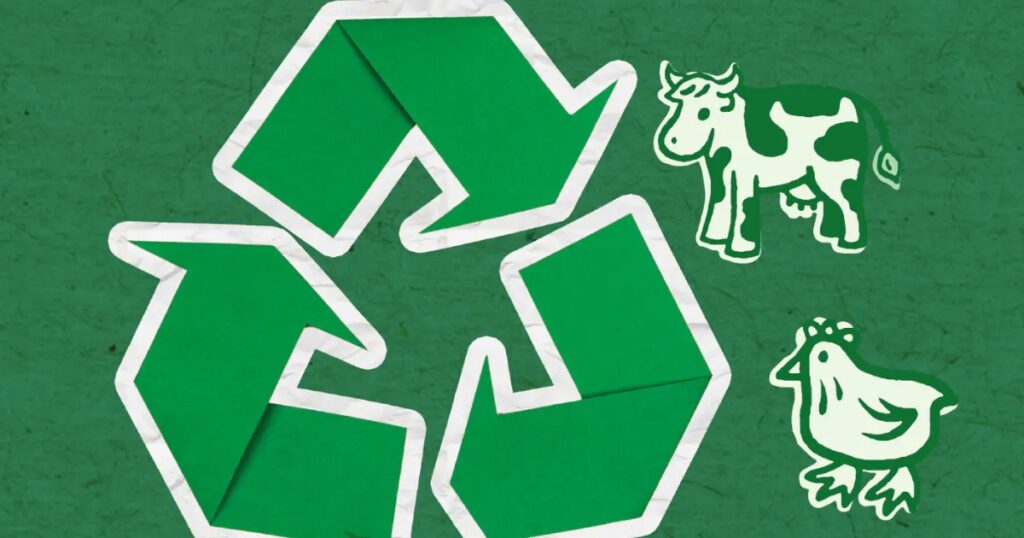 nutrição animal sustentável