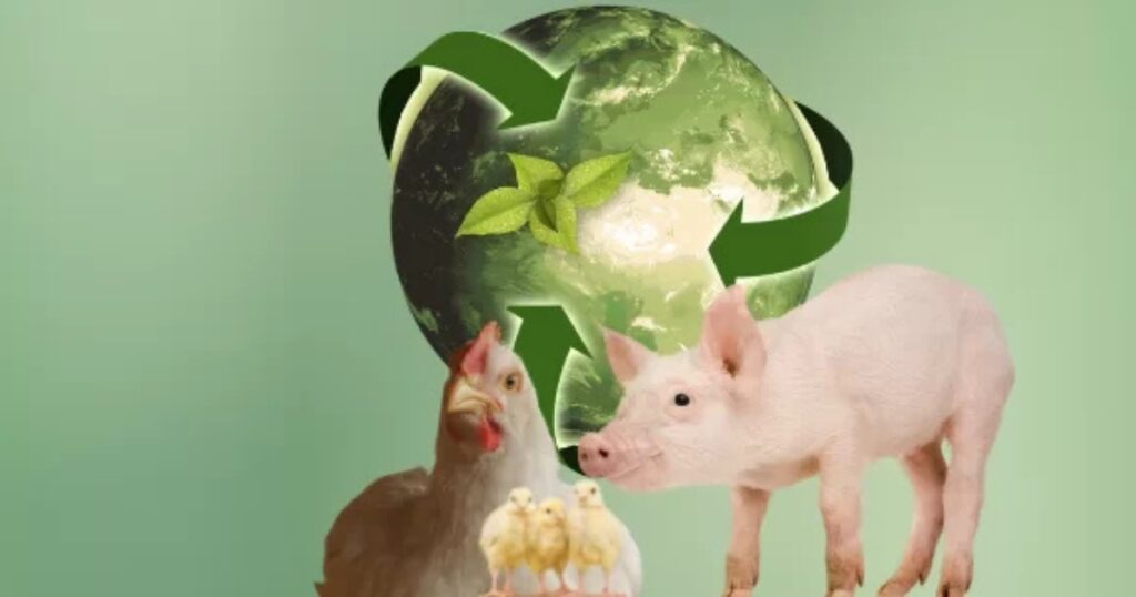 sustentabilidade proteína animal