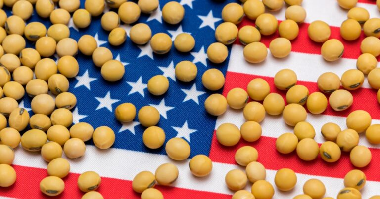 USDA projeta queda na produção de milho e reforça avanço da soja nos EUA em 2026/27