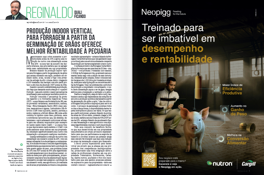 orragem vertical pecuária