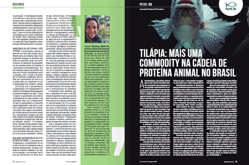 tilápia