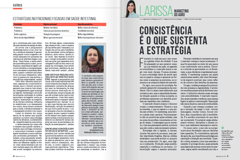 estratégia no agronegócio proteína animal
