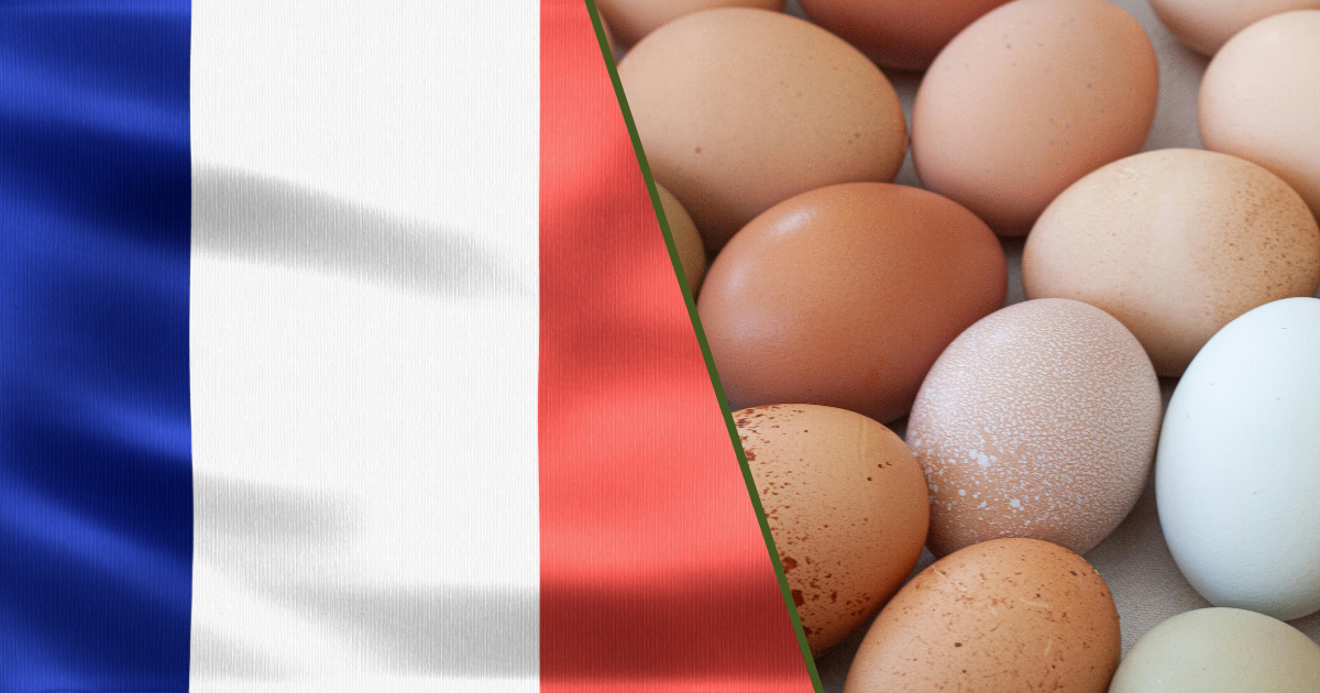 frança,ovos,consumo