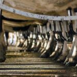 Acordo Mercosul-UE acende alerta no setor lácteo brasileiro