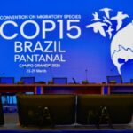 Monitoramento de dados ganha destaque na conservação de espécies migratórias na COP15