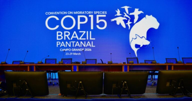 Monitoramento de dados ganha destaque na conservação de espécies migratórias na COP15
