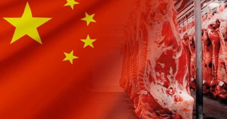 Cotas da China e desafios logísticos redesenham exportações brasileiras de carne em 2026