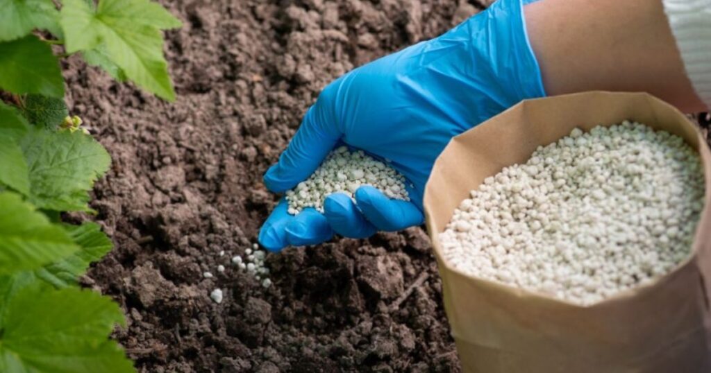 fertilizantes no agronegócio