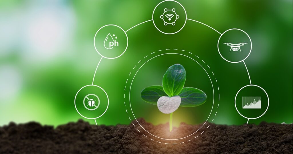 economia circular agroindústria