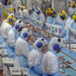 Economia circular avança nas agroindústrias de proteína animal