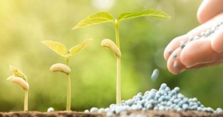 Entregas de fertilizantes crescem em 2025 e atingem recorde no Brasil
