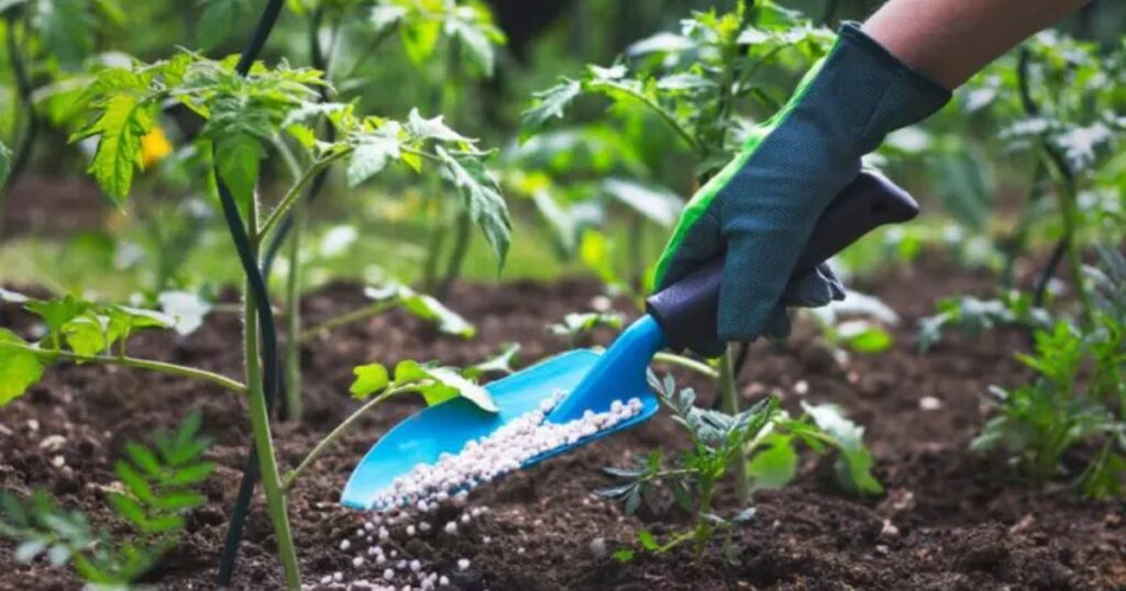 fertilizantes no Brasil