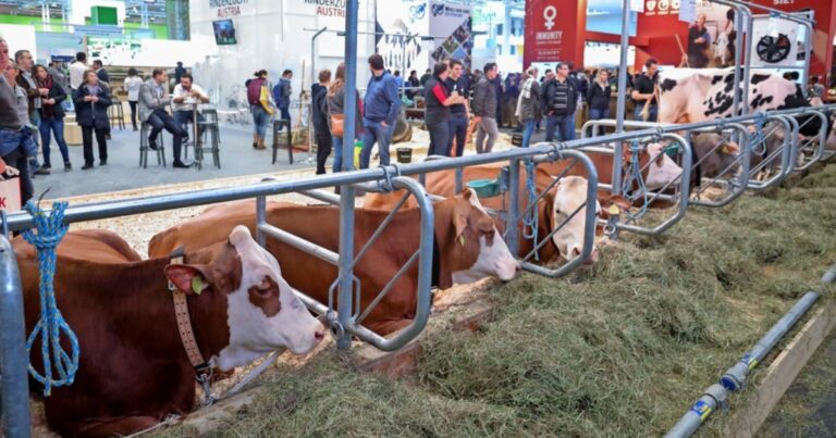 EuroTier 2026: anunciados os vencedores dos Prêmios de Inovação e do Prêmio de Bem-Estar Animal