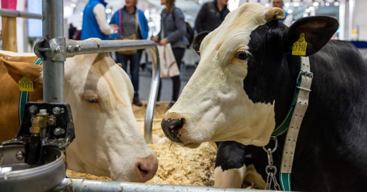 EuroTier 2026