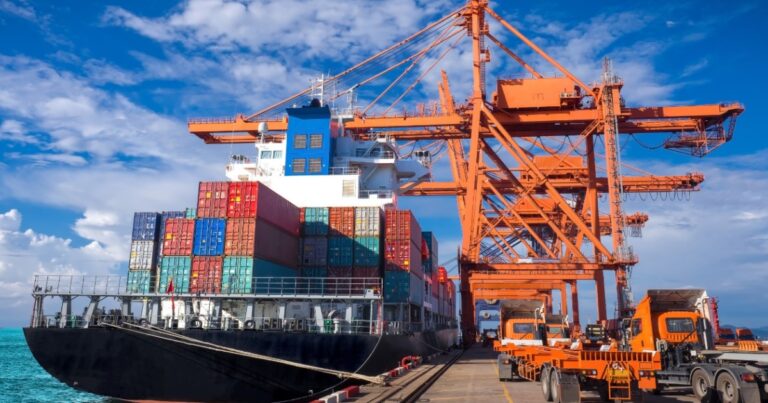 Exportações de carne de frango avançam 29,9% em julho e chegam a 519,2 mil toneladas