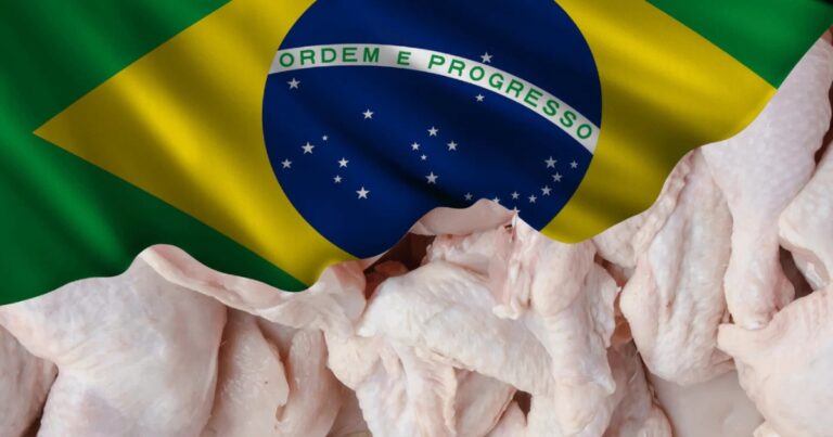 Conflito no Oriente Médio coloca exportações de frango brasileiro em alerta