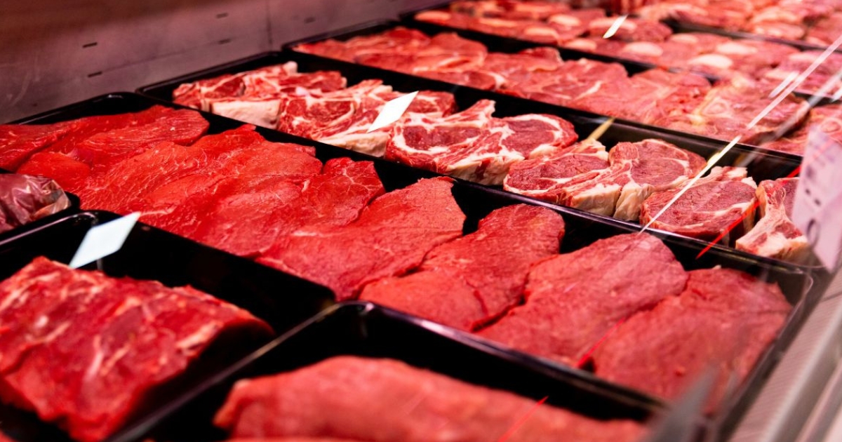 exportação carne bovina