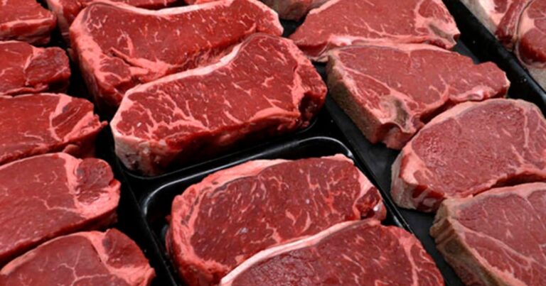 Exportações de carne bovina avançam no início de 2026 e diluem efeitos de restrições da China