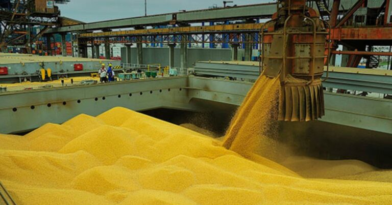 Exportações de grãos do Brasil podem superar 20 milhões de toneladas em março
