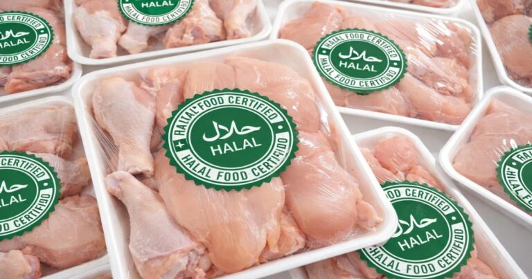 Paraguai realiza primeira exportação de frango Halal para Singapura e amplia presença no mercado internacional