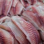 PEIXE BR vê avanço em projeto que simplifica regras e moderniza legislação da aquicultura