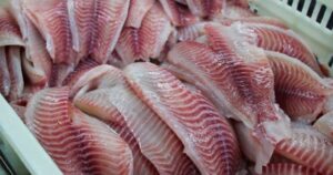PEIXE BR manifesta preocupação com possível tarifa adicional dos EUA sobre produtos brasileiros