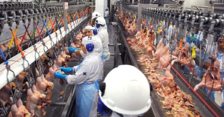 Indústria de alimentos sustenta empregos e ajuda a conter inflação em 2025